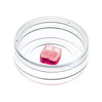 ibidi易必迪劃痕實驗傷口愈合插件80209